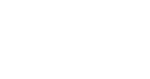Bosch Customs
